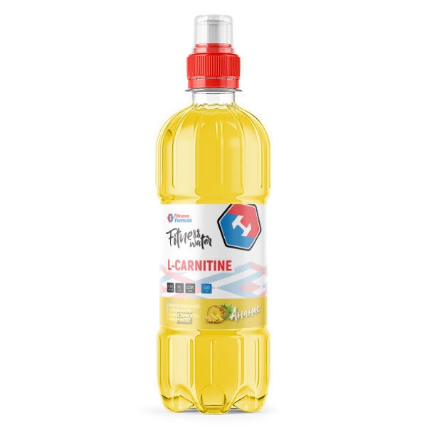 Fitness Water L-Carnitine Fitness Formula 500 мл купить по доступной ...