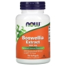 Boswellia Extract 500 mg 