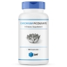 SNT Chromium Picolinate 200mcg 90 caps