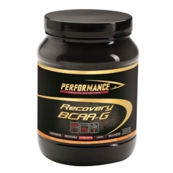 BCAA 2:1:1 Performance Recovery BCAA-G  (500 г)