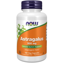 Специальные добавки NOW Astragalus Extract 500 mg   (90 caps.)