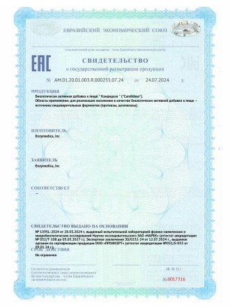 Таблетки для пищеварения ENZYMEDICA Candidase   (120 caps.)