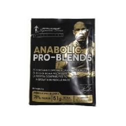 Порционный протеин Kevin Levrone Anabolic Pro-Blend 5  (27g.)