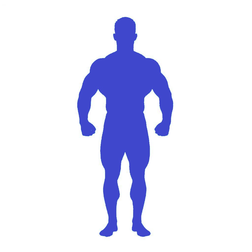 Набор мышечной массы